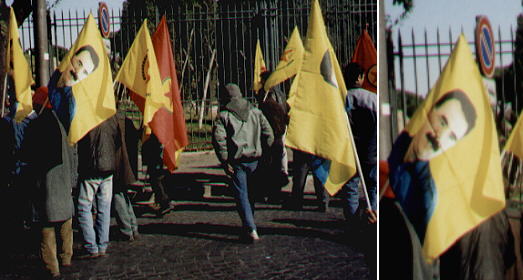 The world is not black and white