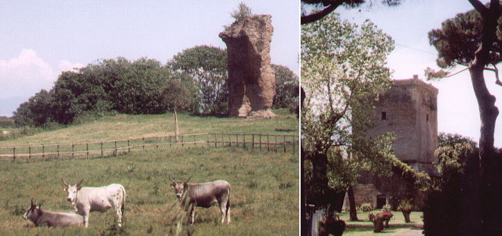 Ruins of Tempio dI Portuno and a Renaissance Watch Tower