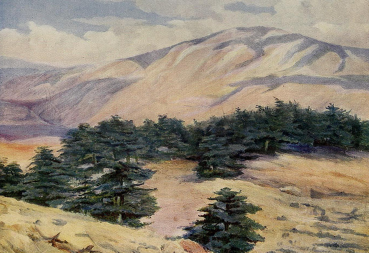 General  View  of  the  Cedars