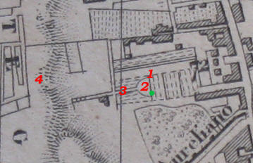 Small View