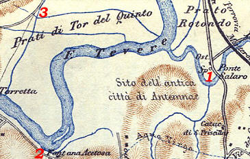Small View