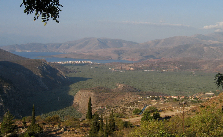 The olive sea