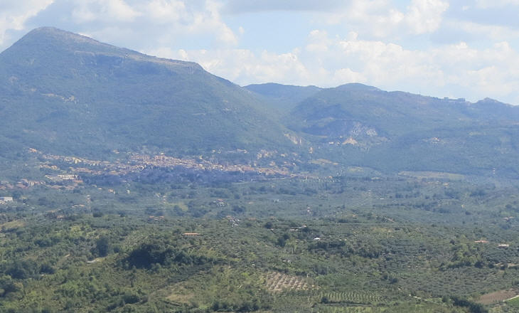 Marcellina surrounded by olive groves