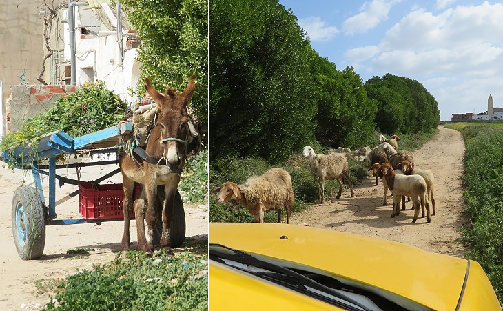 En route to the catacombs