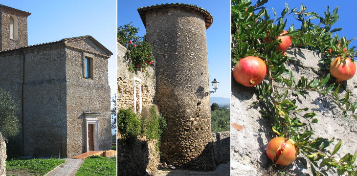 Santa Maria ad pontem; tower of the walls; pomegranates