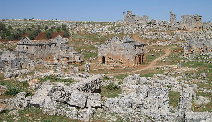 Overall View
