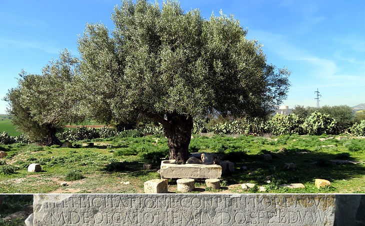 Inscription with reference to games