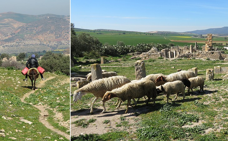 Countryside life on the top of the hill and near the baths
