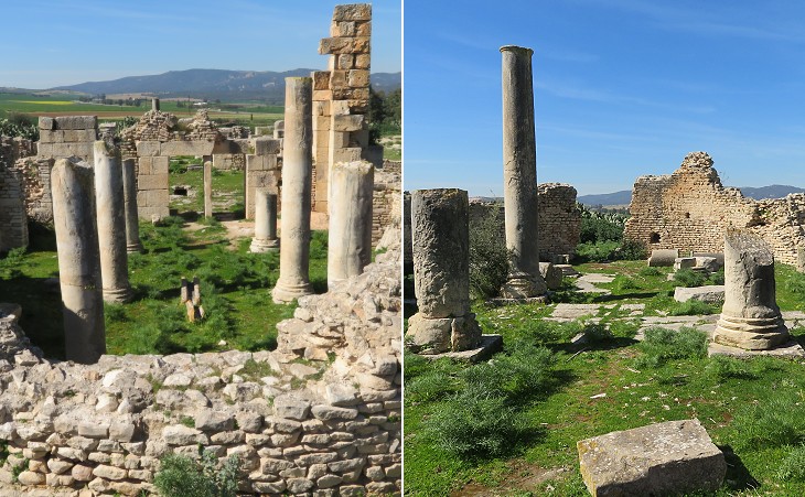 Overall view of the frigidarium and of the two apsidal palaestrae