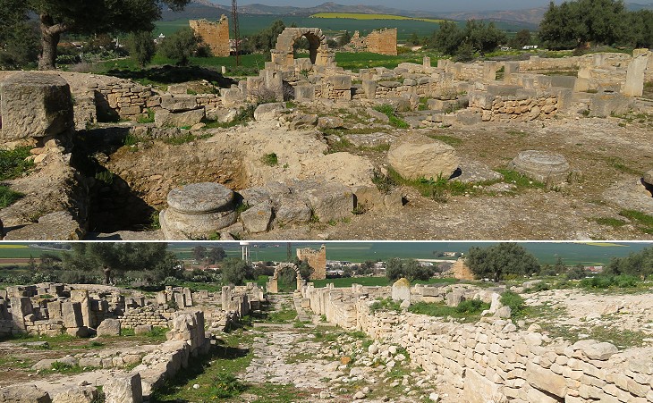 Market housing development